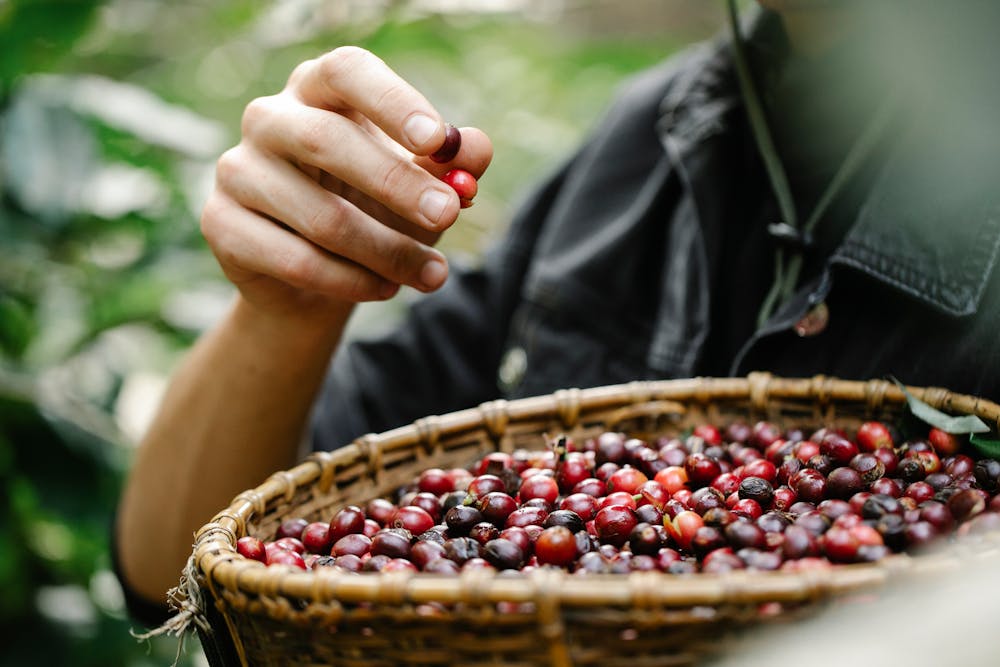 Mindful Eating: How to Enjoy Food and Stay Healthy